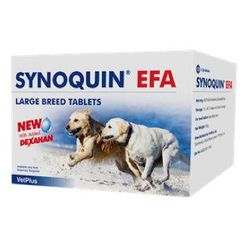 synoquin-dog-box.jpg