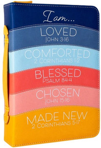 Divine Details: Bible Cover - Modern Rainbow