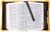Divine Details: Bible Cover - Modern Rainbow