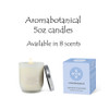 5oz Aromabotanical candle