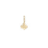 Sculpted Charm - Maple Leaf/bronze