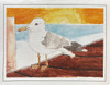 Ryan Kupfer Note Card 5 Pack - Sea Gull Sunset Watercolor (RKUP-SGS)