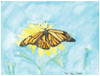 Ryan Kupfer Note Card 5 Pack - Butterfly Watercolor (RKUP-BFLY)