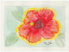 Ryan Kupfer Note Card 5 Pack - Hibiscus Watercolor (RKUP-HIB)