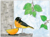 Ryan Kupfer Note Card 5 Pack - Oriole Watercolor (RKUP-ORI)
