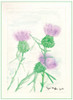 Ryan Kupfer Note Card 5 Pack - Thistle Watercolor (RKUP-THIS)
