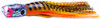 Black Bart Pelagic Breakfast Trolling Lure - Yellow Tiger/Gold Dot 