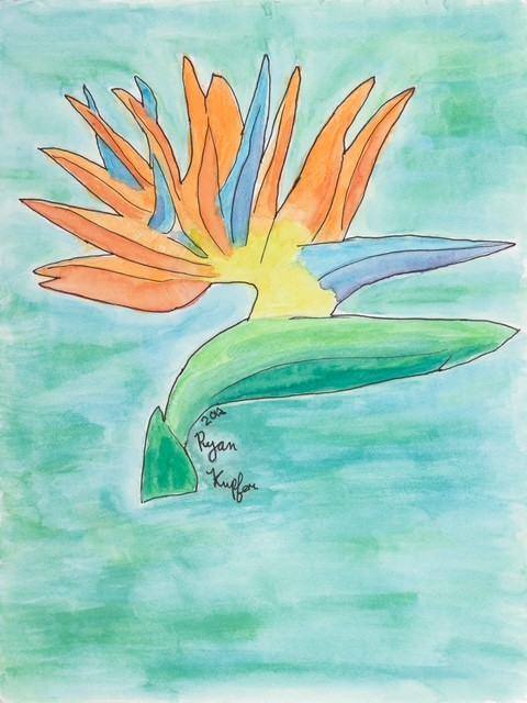 Ryan Kupfer Note Card 5 Pack - Bird of Paradise Watercolor (RKUP-BOP)