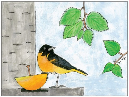 Ryan Kupfer Note Card 5 Pack - Oriole Watercolor (RKUP-ORI)