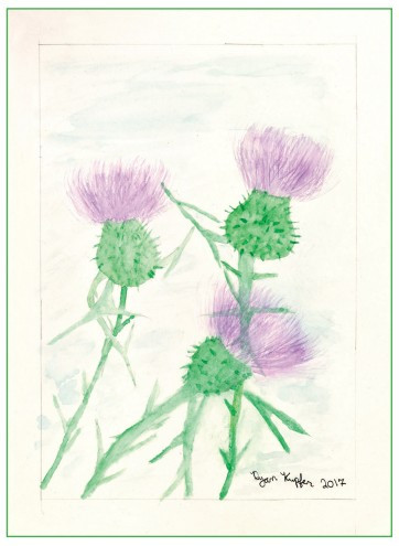 Ryan Kupfer Note Card 5 Pack - Thistle Watercolor (RKUP-THIS)