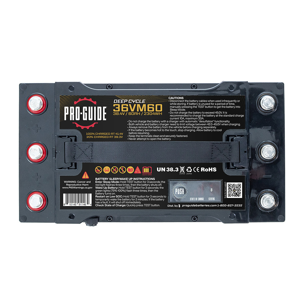 Pro-Guide Alpha Series Lithium Battery - 36V - 60AH - Group 31