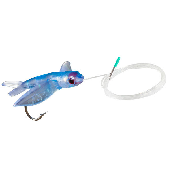 Boone Flying Fish 4" Blue - Rigged (BOO55601)