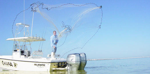 Calusa Cast Net 10 ft Diameter 3/8 inch Mesh