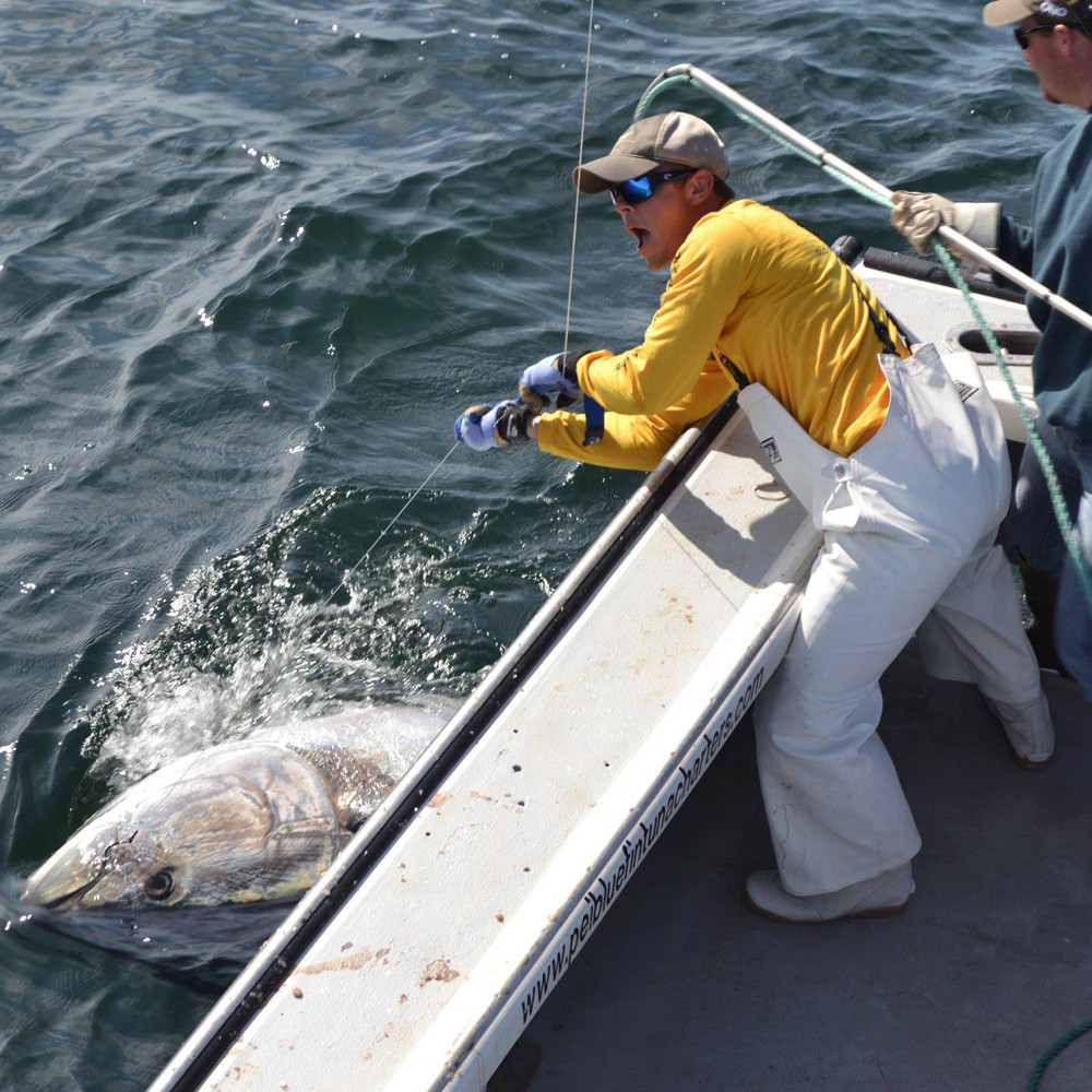 Grundens Herkules 16 bib Pant - White - 3X