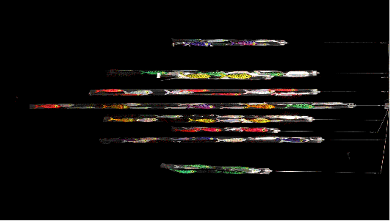 Stripteaser Flea Market Blue