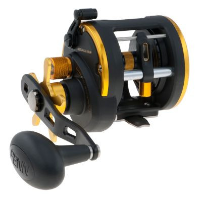 Penn Squall Levelwind Fishing Reel