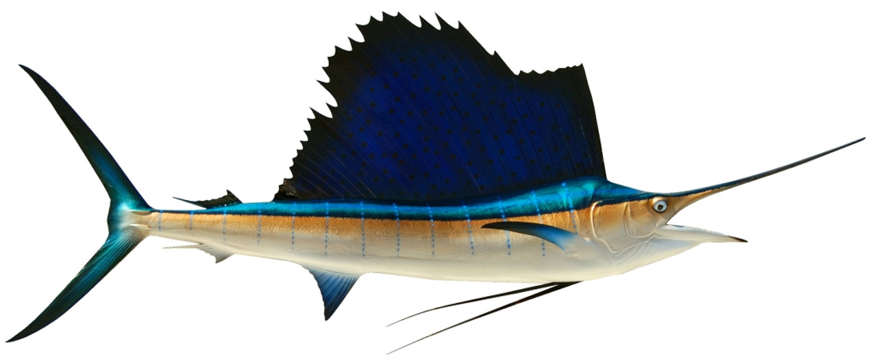 King sailfish release mounts Clearance