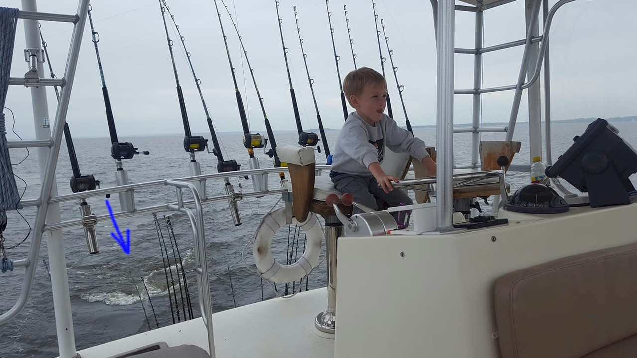 Para-Tech Delta Drogue 72" for boats up to 45'