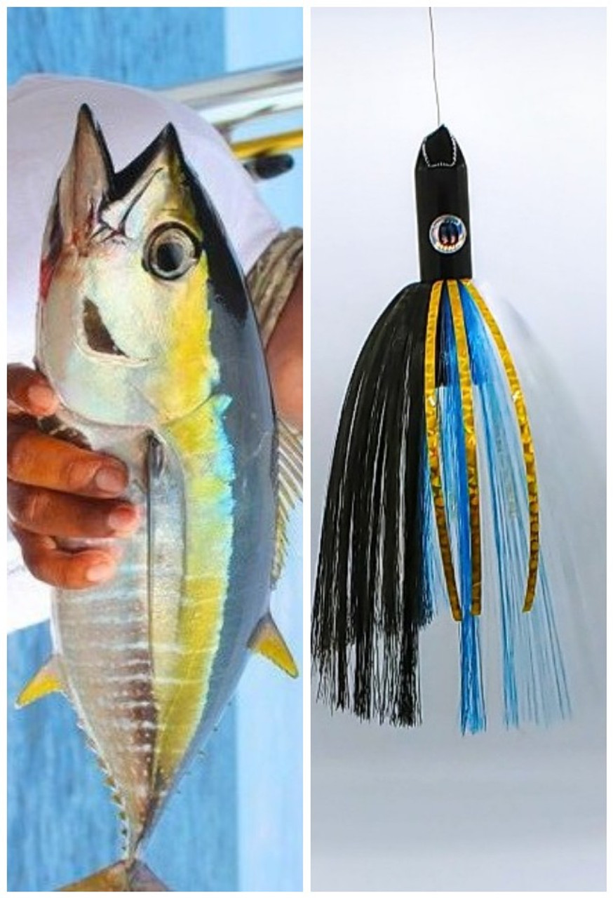 Squidnation Skullz Tied Dredge Heads - Yellowfin Tuna - 6 Pack from