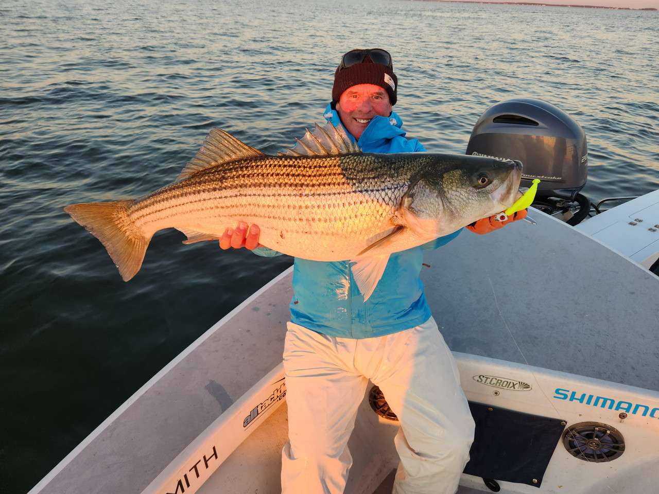 Bloody Point Shads 4" Chartreuse 25 Pack