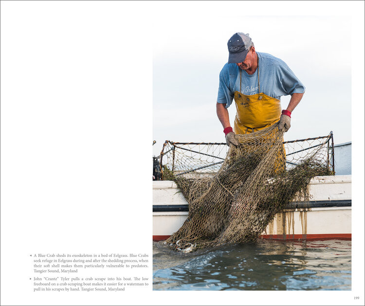 Jay Fleming Photobook 2 Pack - Island Life and Working The Water