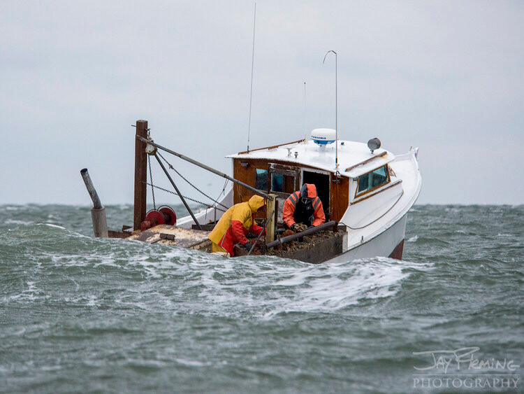 Jay Fleming Photobook 2 Pack - Island Life and Working The Water