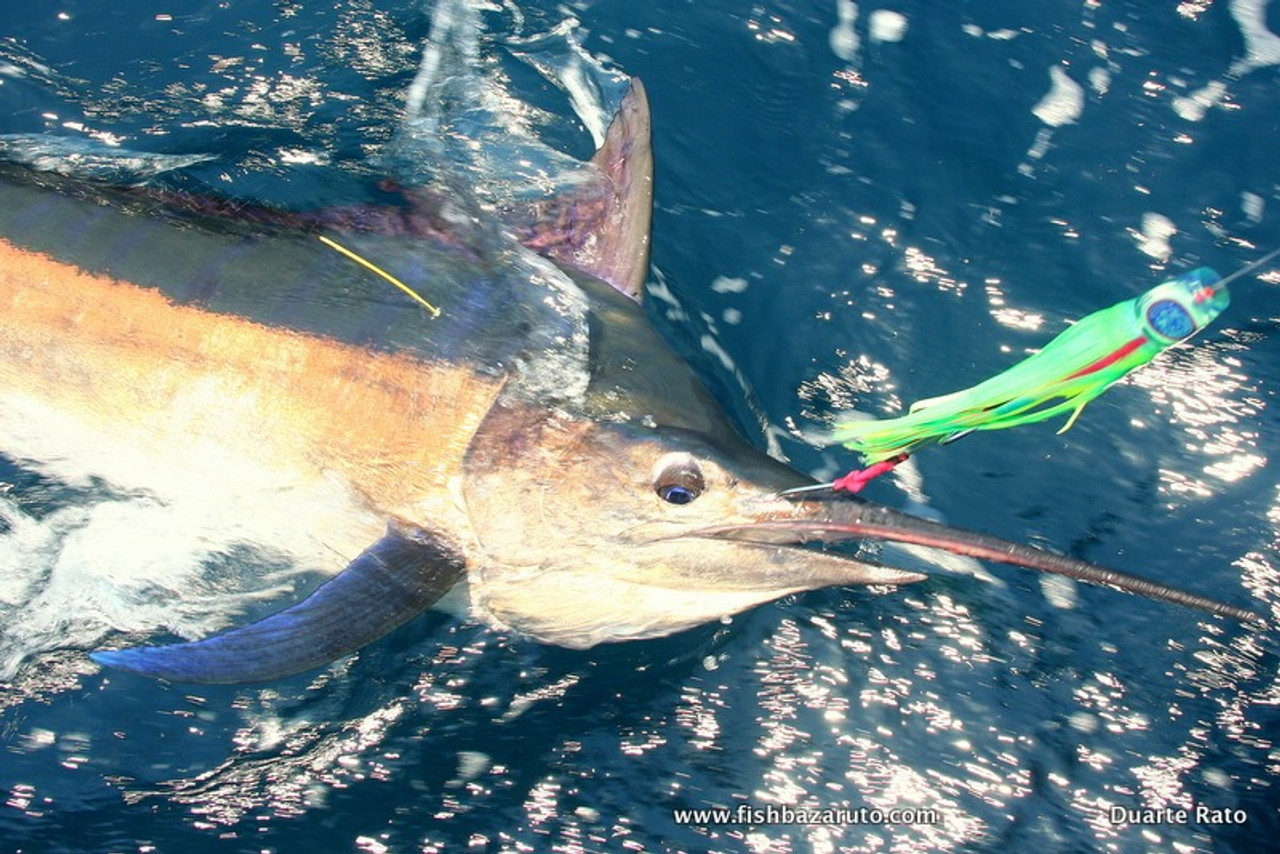 Pakula Wombat 3D Fish Print Lure - Yellowfin Tuna