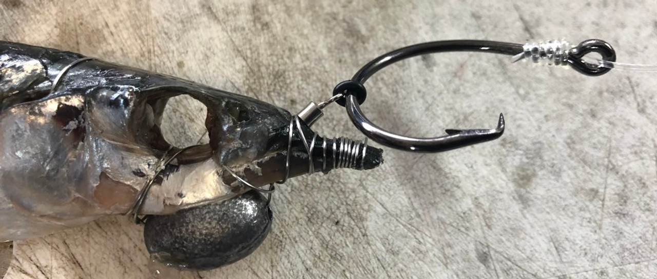 Size 1 Ringer Swivels™ are commonly rigged with Medium/Small/Dink sized ballyhoo. The o-ring is perfectly sized to accept the industry standard 6/0-8/0 circle hooks.