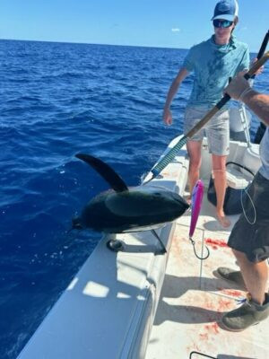 MagBay RM9-UV High Speed Wahoo and Tuna Lure 9″ - Purple Marlin