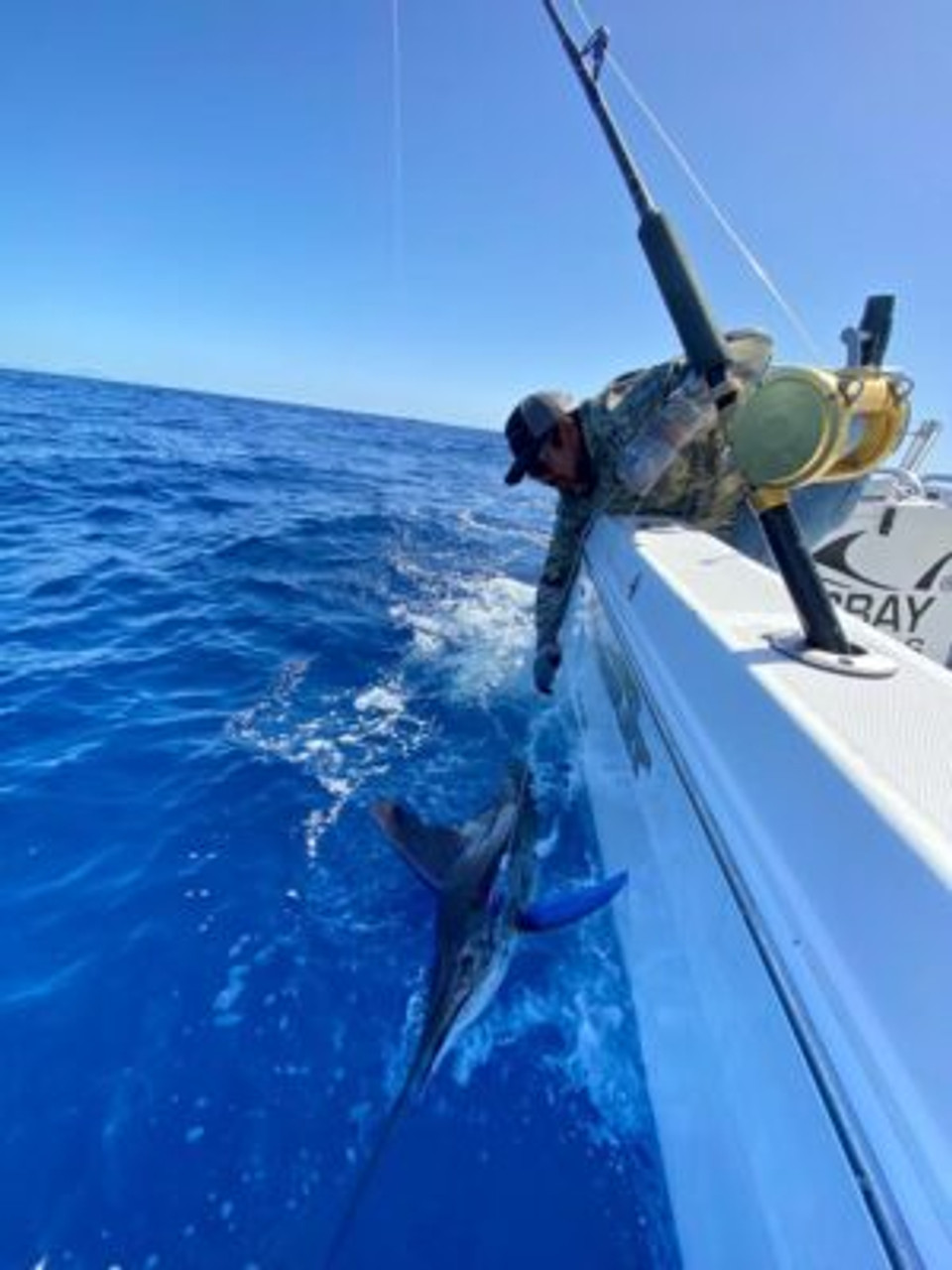 MagBay Carey Chen Yellowfin Tuna Lure #17