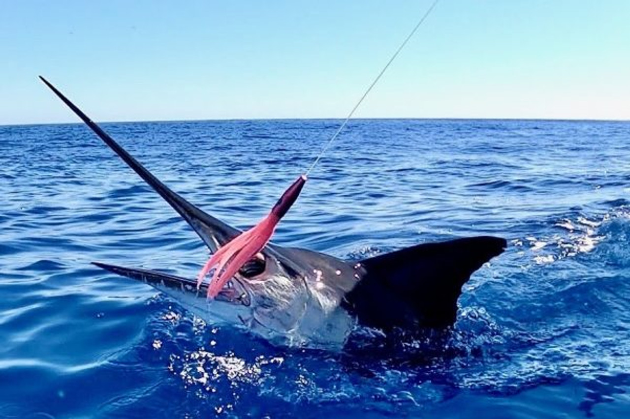 MagBay El Plomerito Wahoo Lure- Silver/Green 