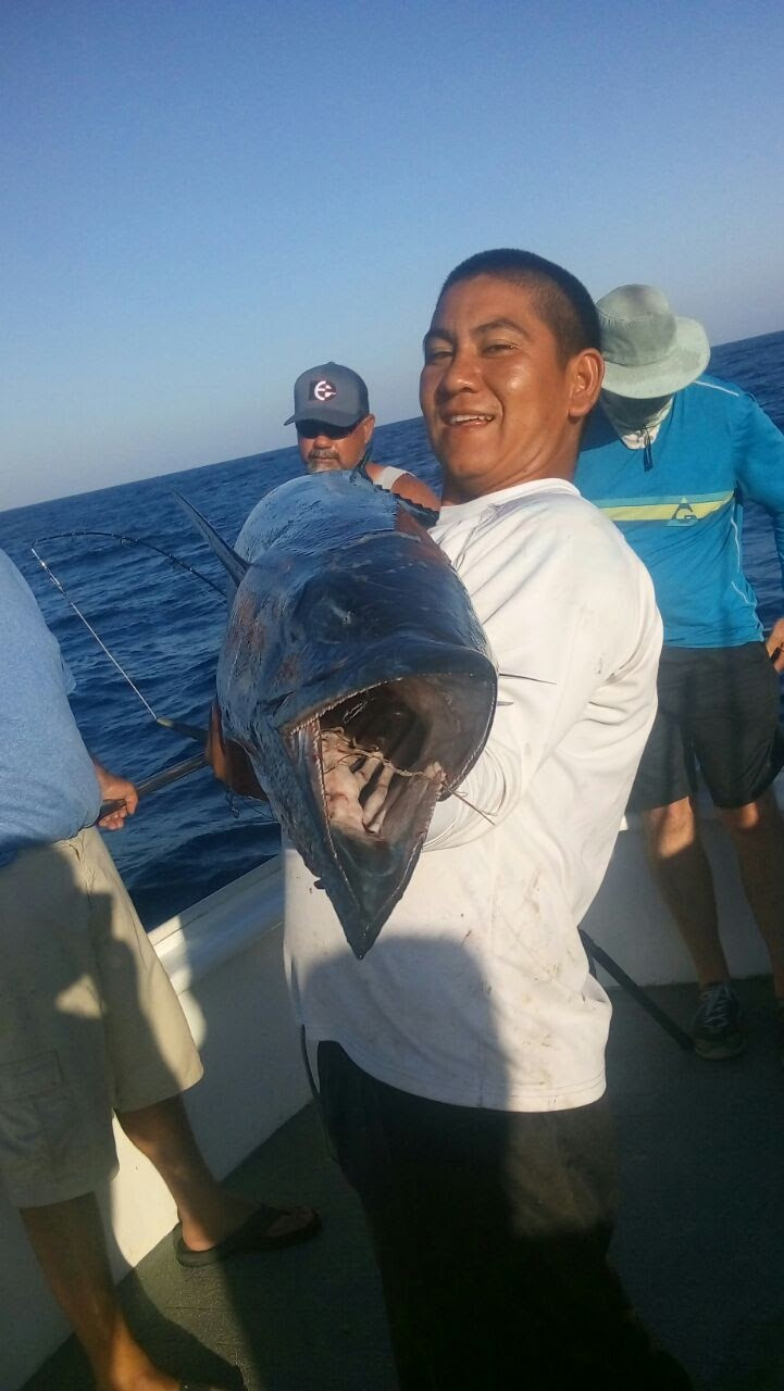 MagBay Savage Plomerito Wahoo Daisy Chain