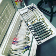 Max Bait Tray