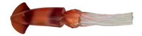 Squidnation Mauler Squid 12" Natural Squidnation Mauler Squid 12" Natural