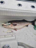 Bloody Point Baits Grinning Gus 20oz White Hair/WhiteHead Bloody Point Baits Grinning Gus 20oz White Hair/WhiteHead