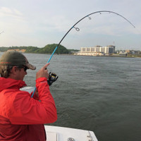 Saltwater Fishing Rod & Reel Combos: Trolling, Spinning, & More