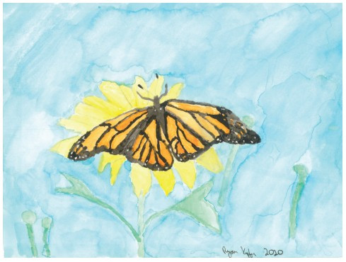 Ryan Kupfer Note Card 5 Pack - Butterfly Watercolor (RKUP-BFLY)