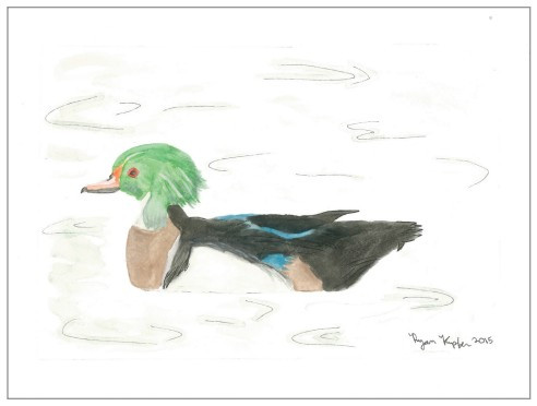 Ryan Kupfer Note Card 5 Pack - Woody Watercolor (RKUP-WOOD)