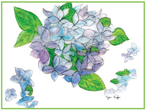 Ryan Kupfer Note Card 5 Pack - Mom's Hydrangea Watercolor (RKUP-MHYD)