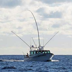 Hamaguchi Hybrid Greenstick Pole 24 ft - (CM-2403)