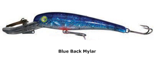 Mann's Giganticus 50 Plus - Blue Back Mylar