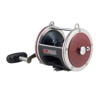 Penn Special Senator Reel 113H2LW