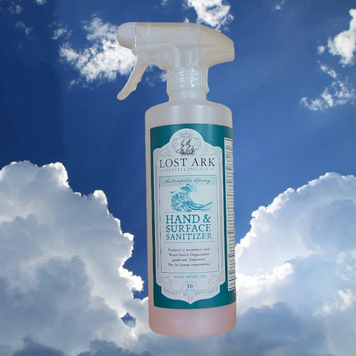 Lost Ark Hand Sanitizer and Surface Cleaner 16oz