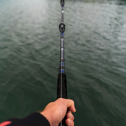 Daiwa Darkwater Sailfish Rod - 6.5' 20lb Conventional - Alltackle.com