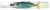 Pakula Rat 3D Fish Print Lure - Large
