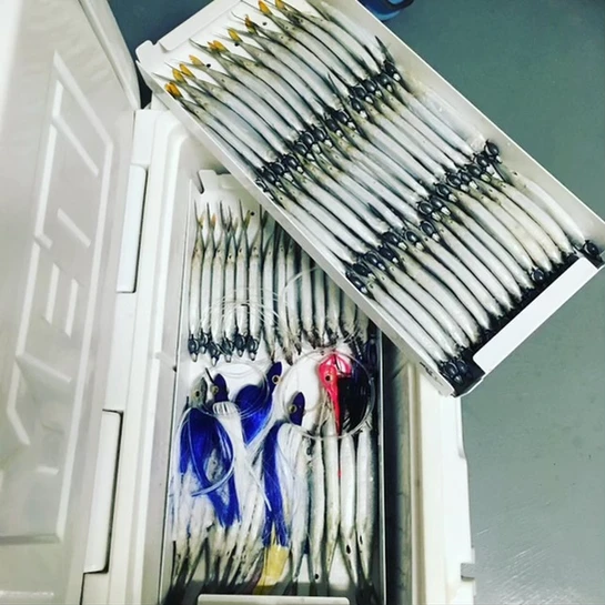 Bait Trays and Bait Storage