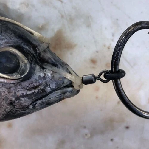 Ringer Swivels for Circle Hooks