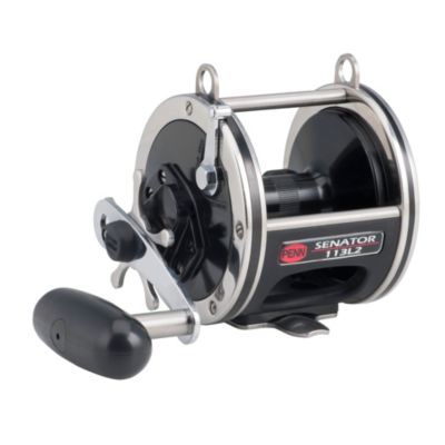 Penn INT80VISW Conventional 2-Speed Saltwater Reel for sale online