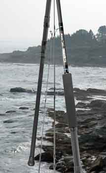 G.Loomis Saltwater Rods 