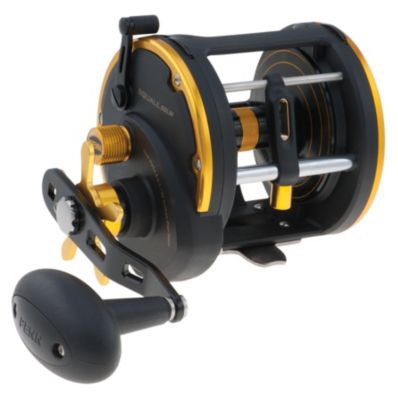 Penn Saltwater Reels for Fishing